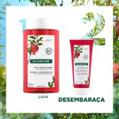 Pomegranate Color Radiance Conditioner Wells Image 5