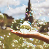 Cacharel Noa EDT 100 ml Wells Image 6