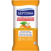 Toalhitas Antibacterianas de Laranja Wells