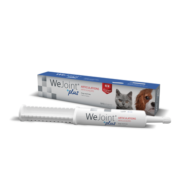 Pasta Cães e Gatos Suporte Articulações Wells Image 1