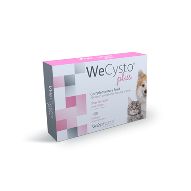 Alimento Cães e Gatos Suporte Função Urinária Wells Image 1