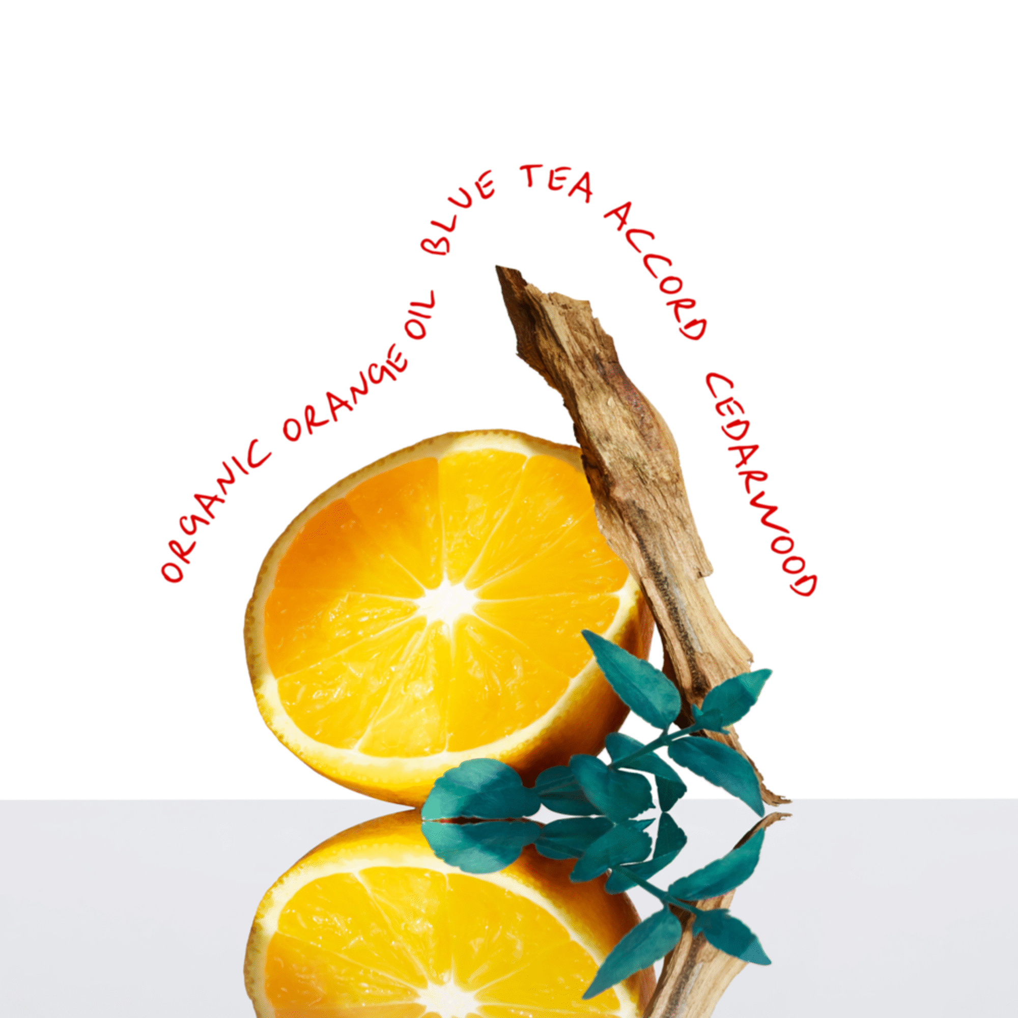 Calvin Klein Everyone EDT