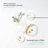 Triphasic Anti-Hair Loss Shampoo Wells Image 5