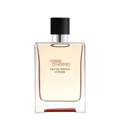 Terre d'Hermès Eau de Parfum Intense Wells