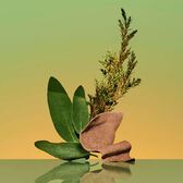 Calvin Klein Eternity For Men EDP Wells Image 6