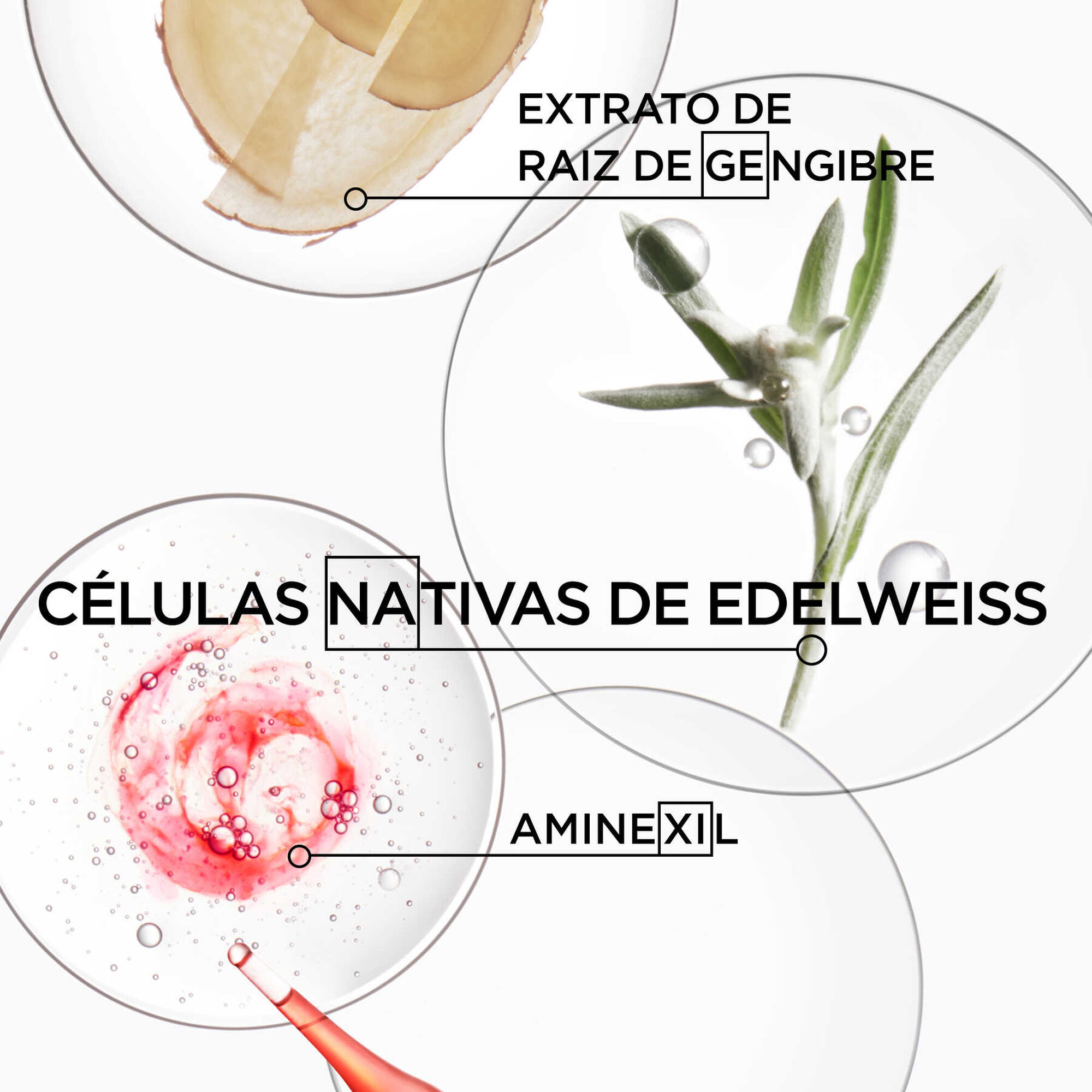 Genesis Bain Hydra-Fortifiant