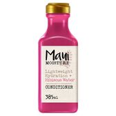 Condicionador Hidratante Leve Água Hibisco Wells