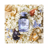 Dolce & Gabbana Blue Jasmine EDP Wells Image 4