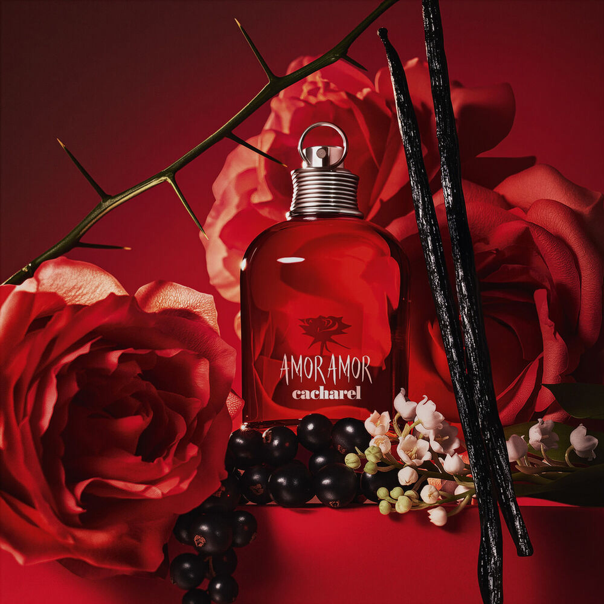 Coffret Amor Amor Eau de Toilette