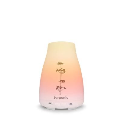 Difusor Óleos Essenciais Aromaterapia Bruma