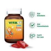 Vitacê Junior Gomas Wells Image 4