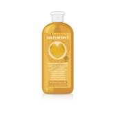 Champô Nutritivo Reparador Wells