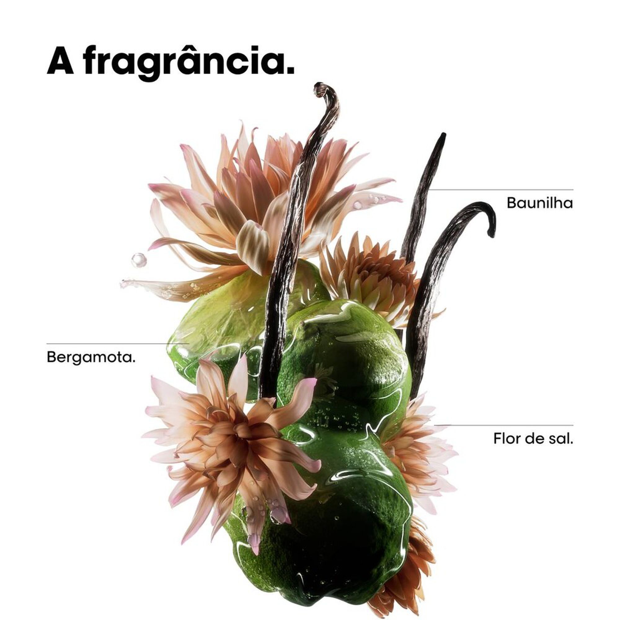 Pack Serie Expert Absolut Molecular Repair