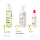 Exomega Control 2in1 Emollient Cleansing Gel Wells Image 6