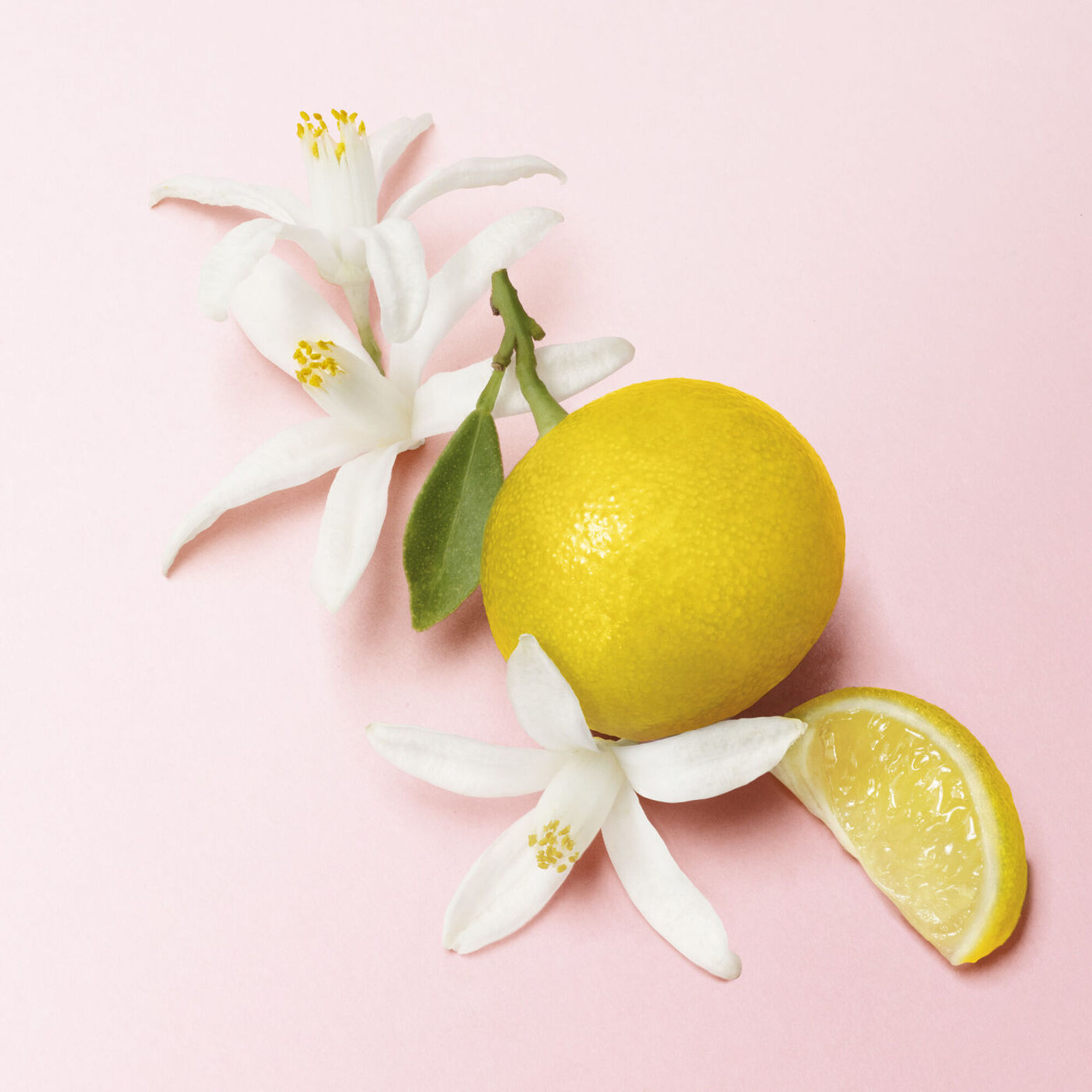 Armani My Way Le Parfum