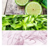 Calvin Klein CK One EDT 100 ml Wells Image 4