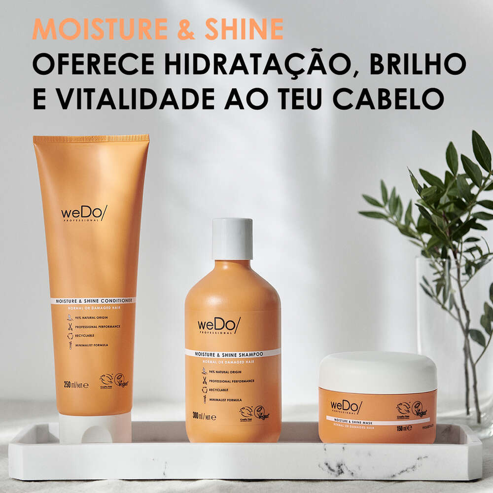 Moisture & Shine Mask Normal Or Damaged