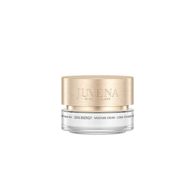 Skin Energy Moisture 24H Creme P. Normal Wells