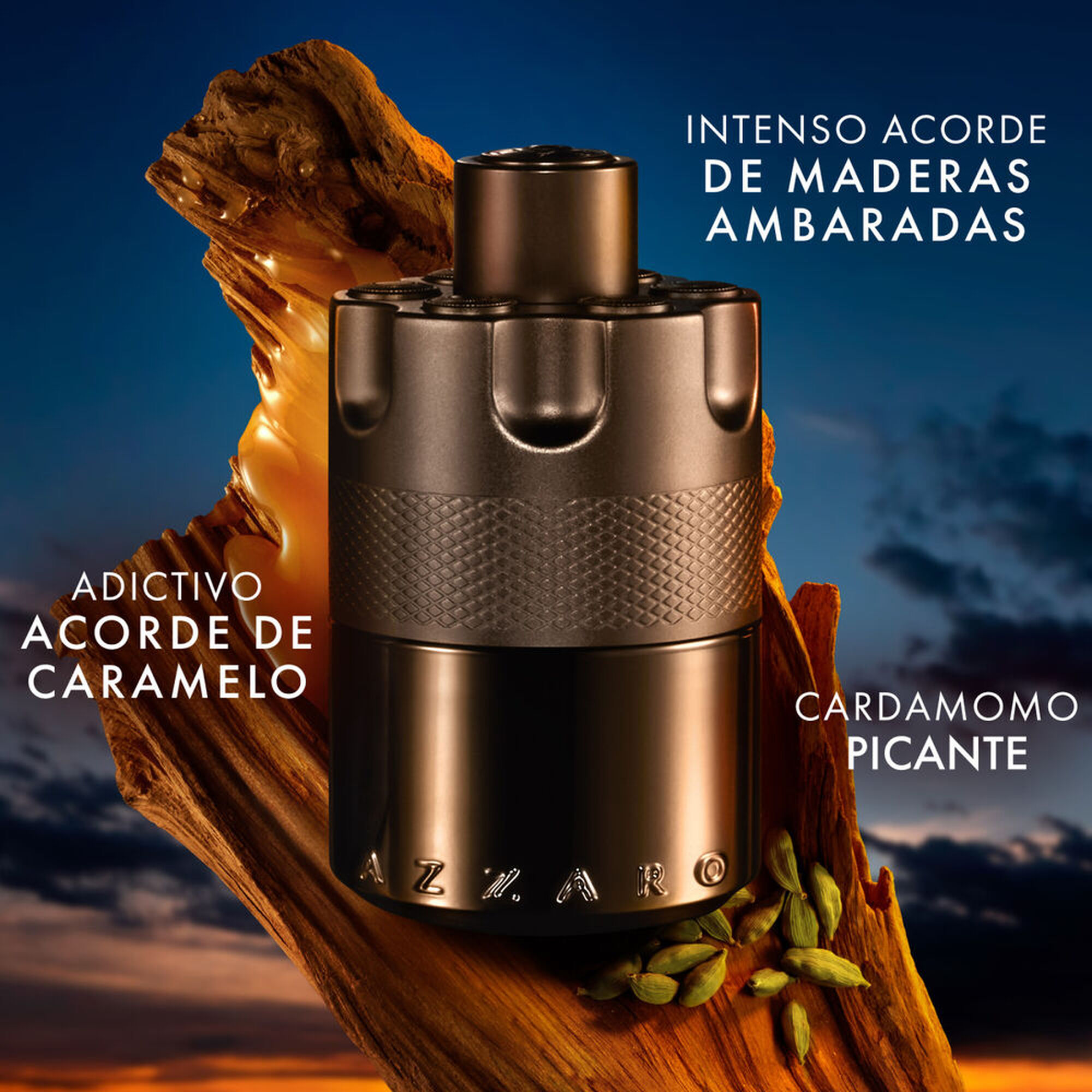 Azzaro The Most Wanted Intense EDP