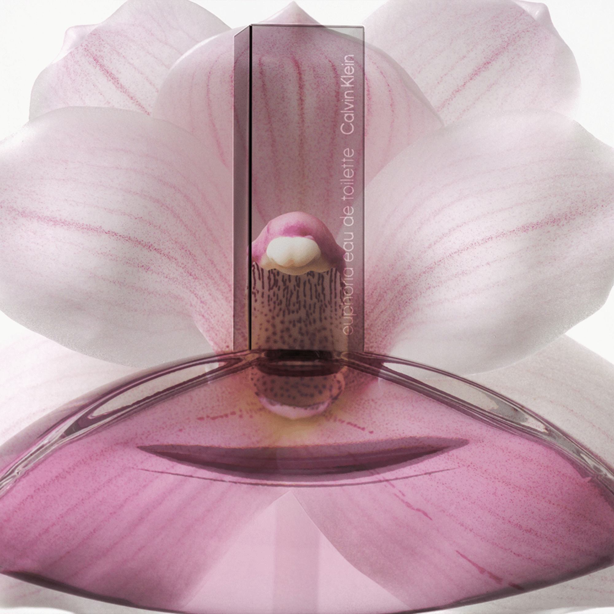 Euphoria Woman Eau de Toilette