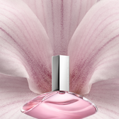 Euphoria Woman Eau de Toilette Wells Image 4