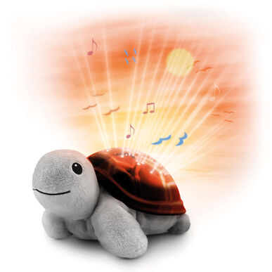 Sunset Projector Tim The Turtle Wells Image 1