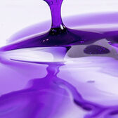 Champô N3 Silver Champú Premium Wells Image 2