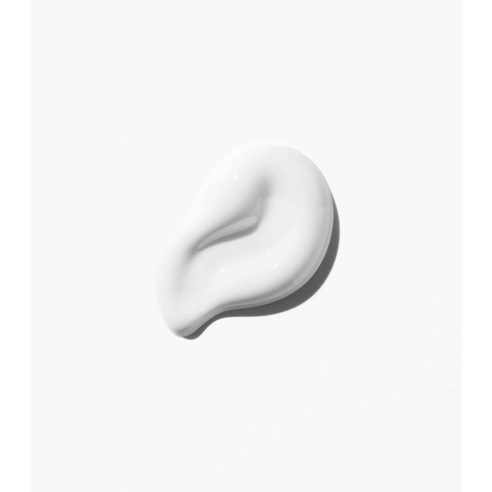 Curl Manifesto Crème Jour Fondamentale