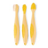 Set de Dentição Wells Image 2