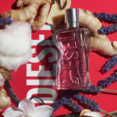 Diesel D by Diesel Eau de Toilette Recarga Wells Image 6