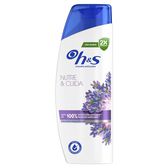 Champú Anticaspa Nutre & Cuida Wells Image 1