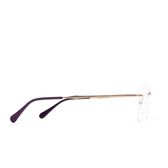 Armação Óculos Pure Titanium Dourado 05 Wells Image 3