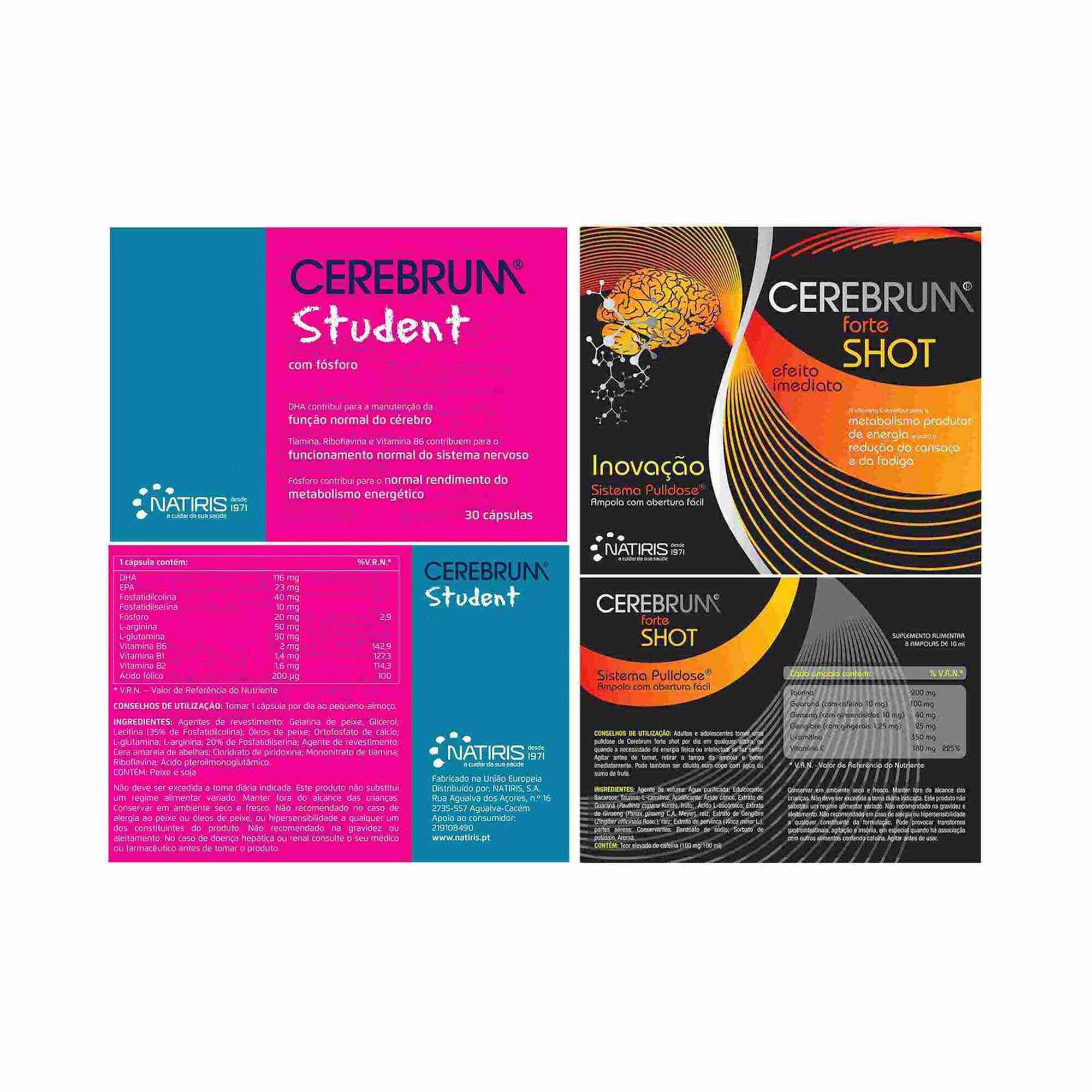 Cerebrum Student+Cerebrum Shott 8