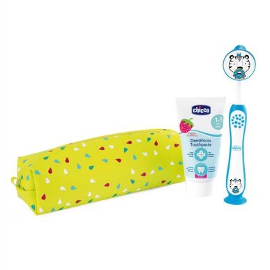 Kit Higiene Oral Panda Azul Wells