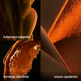 Rabanne 1 Million Parfum EDP  200 ml Wells Image 3