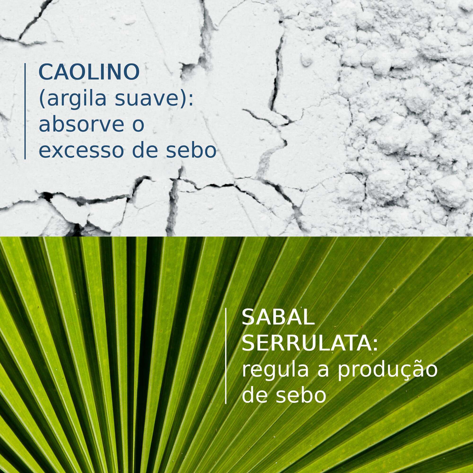 Sabal Argeal Shampooing Quotidien Sébo-Absorbant