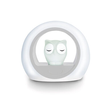 Nightlight With Cry Sensor Lou The Owl Wells Image 1
