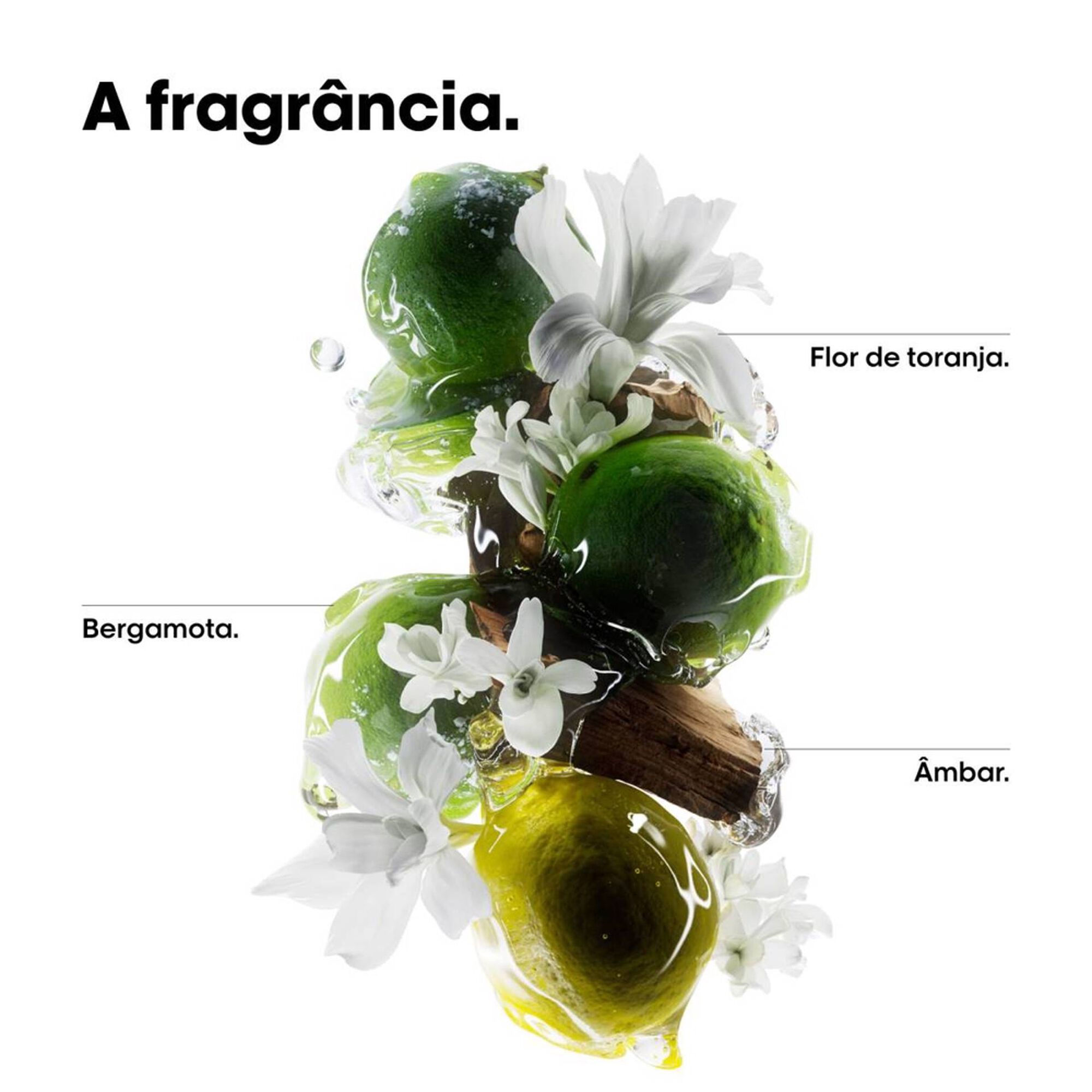 Metal Detox Serie Expert Shampoo