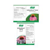 Echinaforce Forte Vogel Wells Image 3