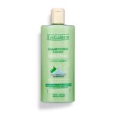 Champô Nutritivo e Reparador Secret Argile Wells
