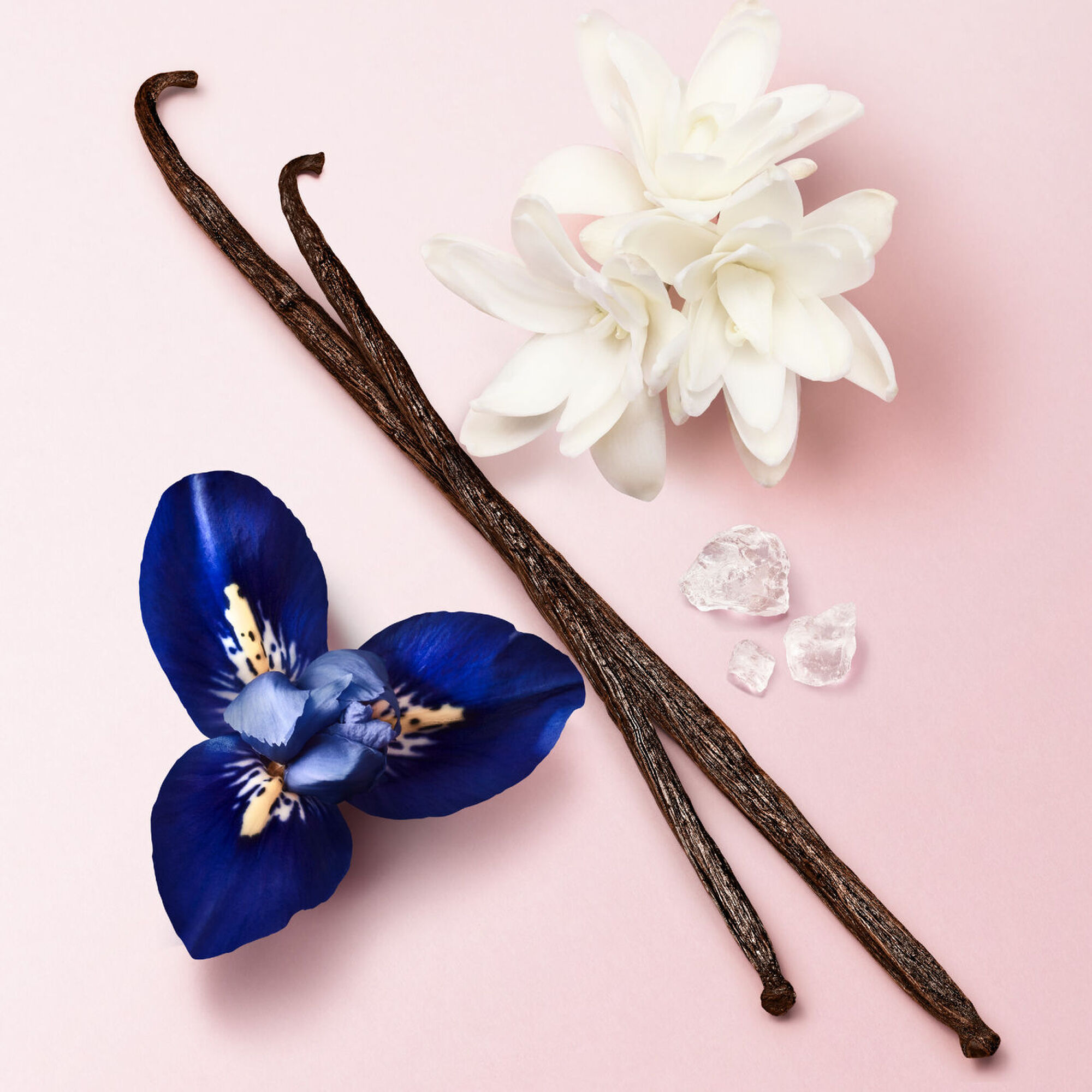 Armani My Way Le Parfum