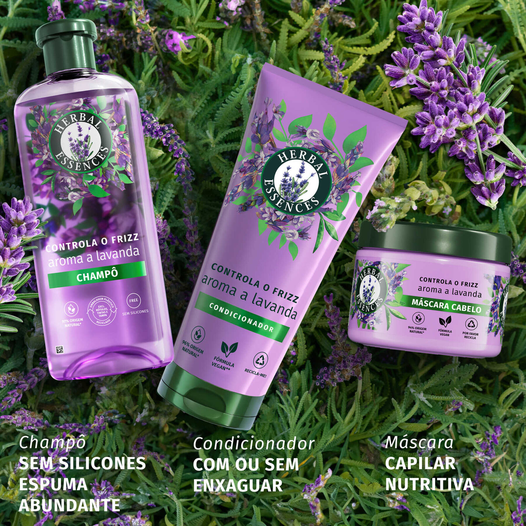 Champô Controla o Frizz Aroma a Lavanda
