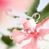 Over The Top Eau de Toilette Wells Image 4