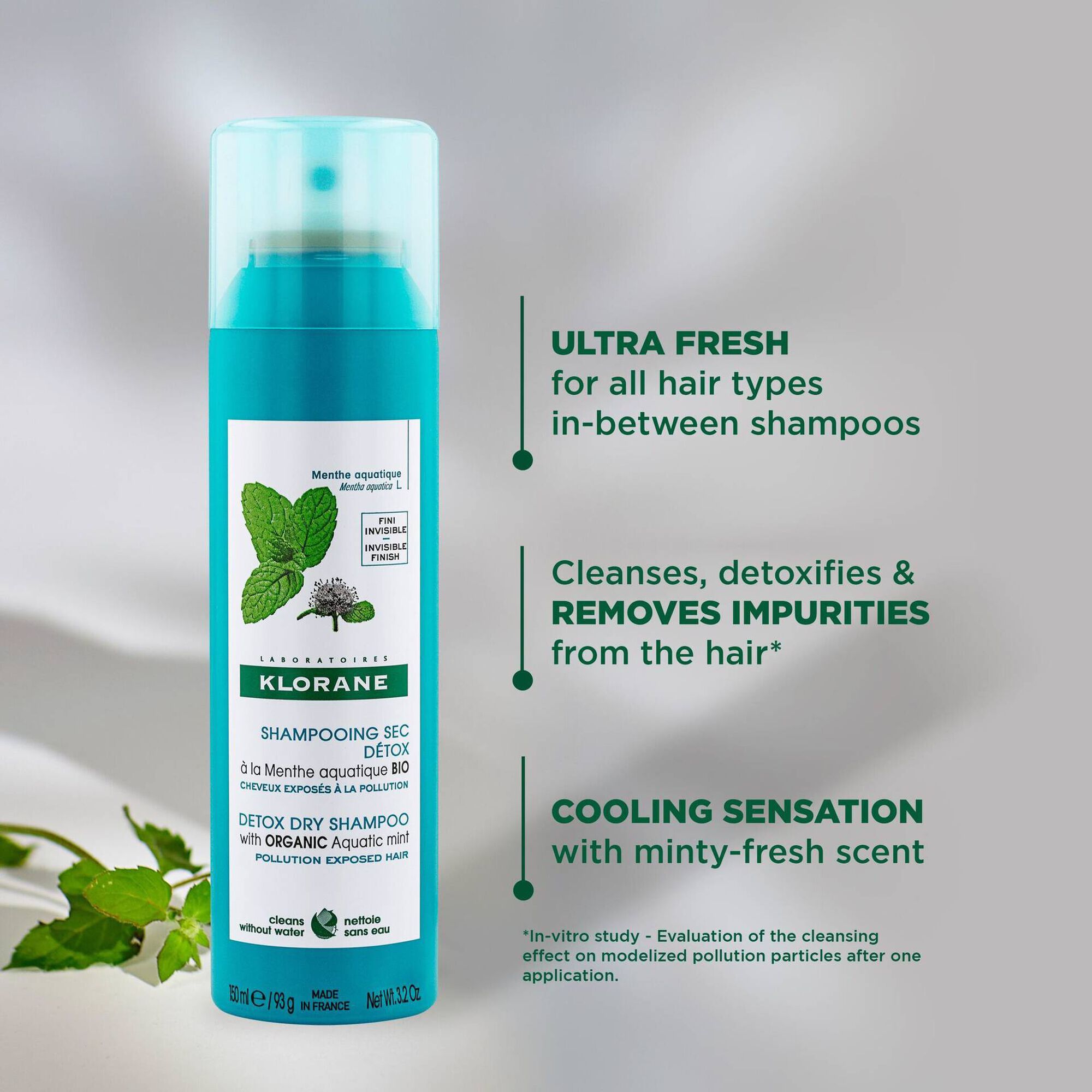 Aquatic Mint Detox Dry Shampoo