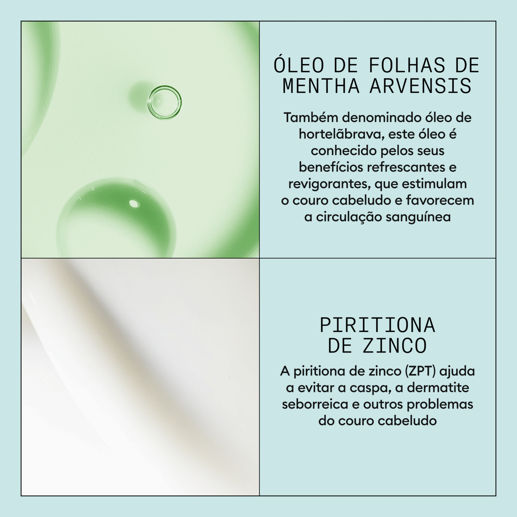 Shampoo Anticaspa  Couro Cabeludo Seco