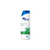 Champô Mentol Fresh Anticaspa 600 ml Wells Image 1