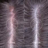 Peony 48h Soothing Anti-Irritation Shampoo 200 ml Wells Image 4