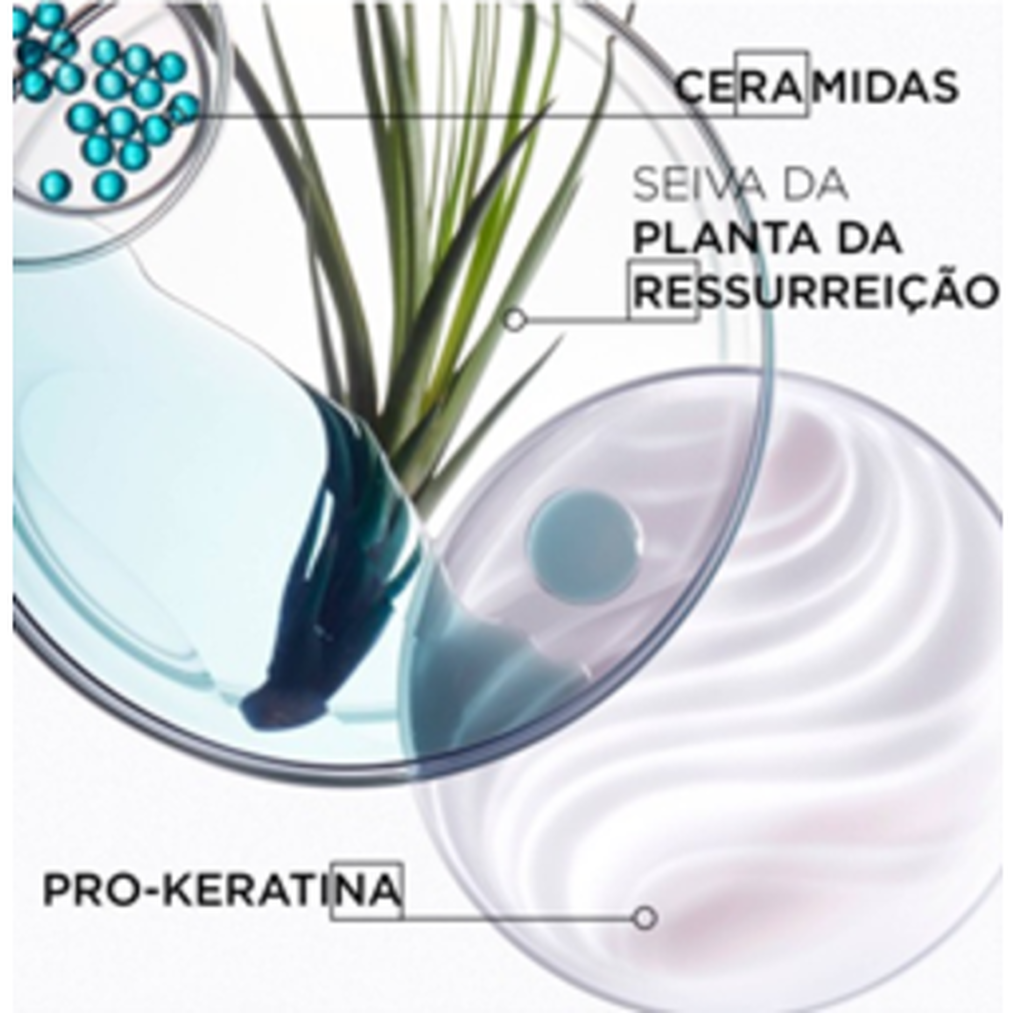 Resistance Ciment Thermique