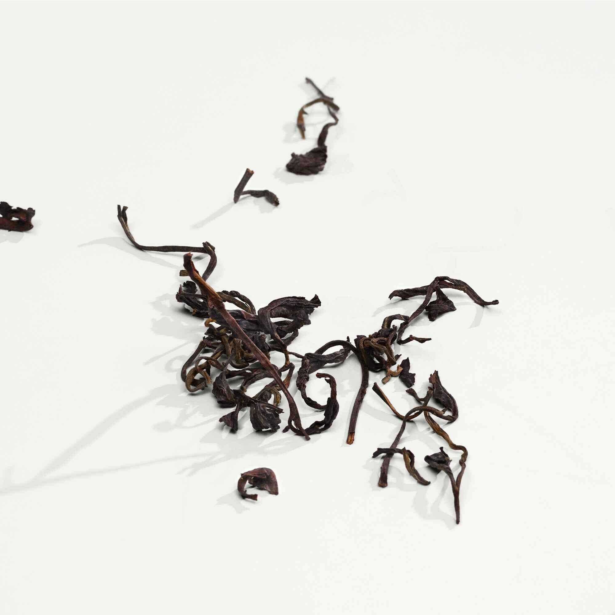 Calvin Klein CK Everyone Eau de Parfum