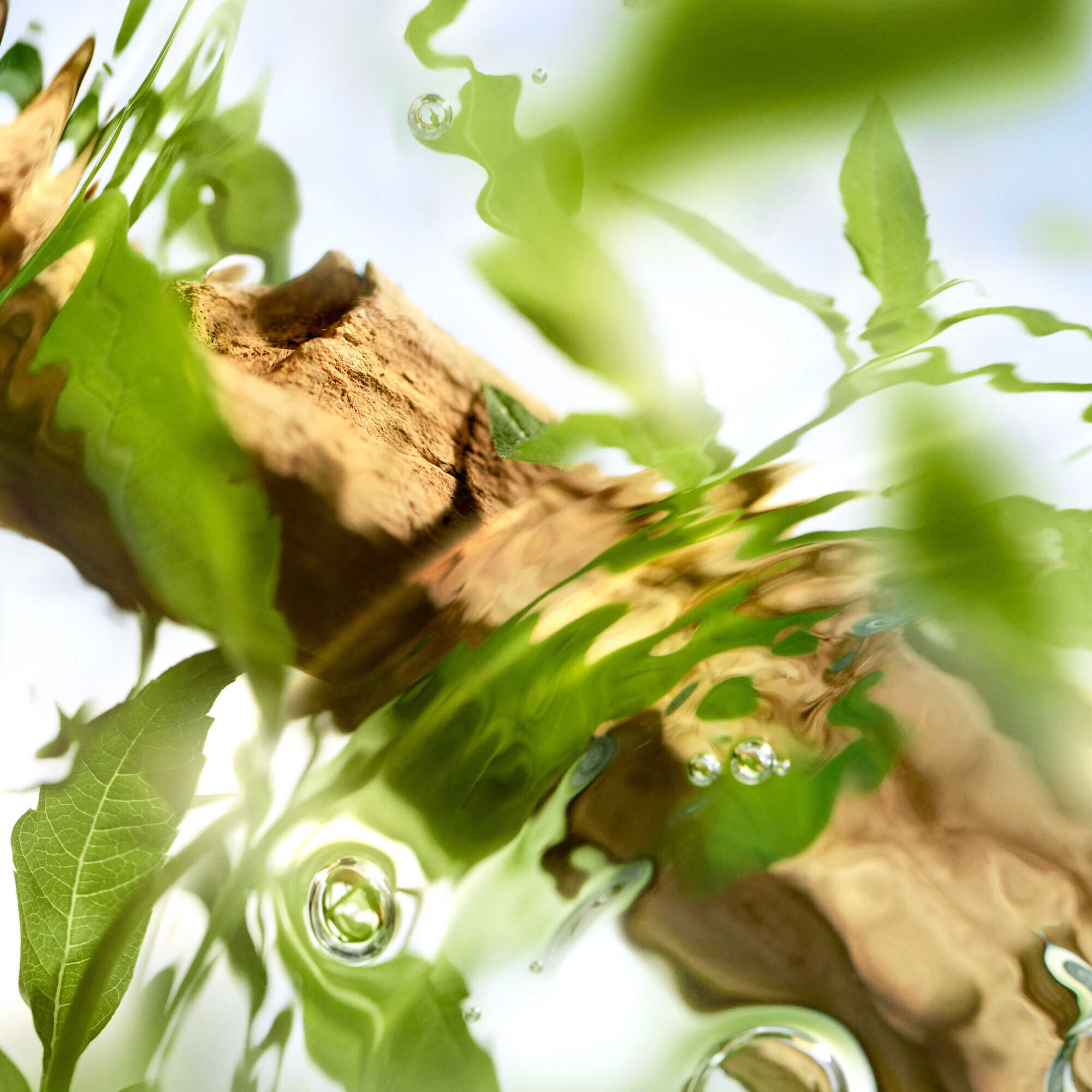 Ôff Now Eau de Toilette